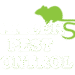 pest control essex