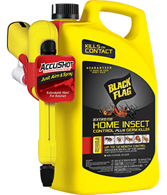 pest control sutton